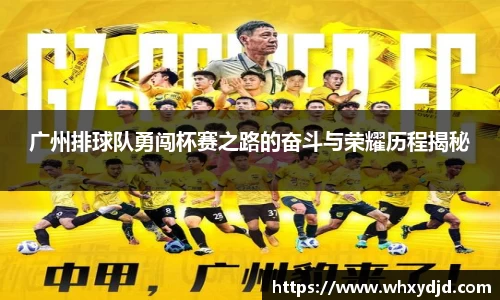 广州排球队勇闯杯赛之路的奋斗与荣耀历程揭秘